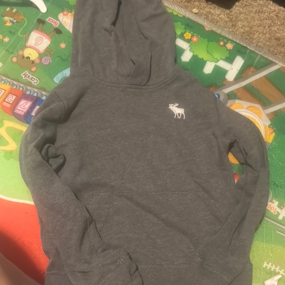 Gray Hoodie with Moose Logo